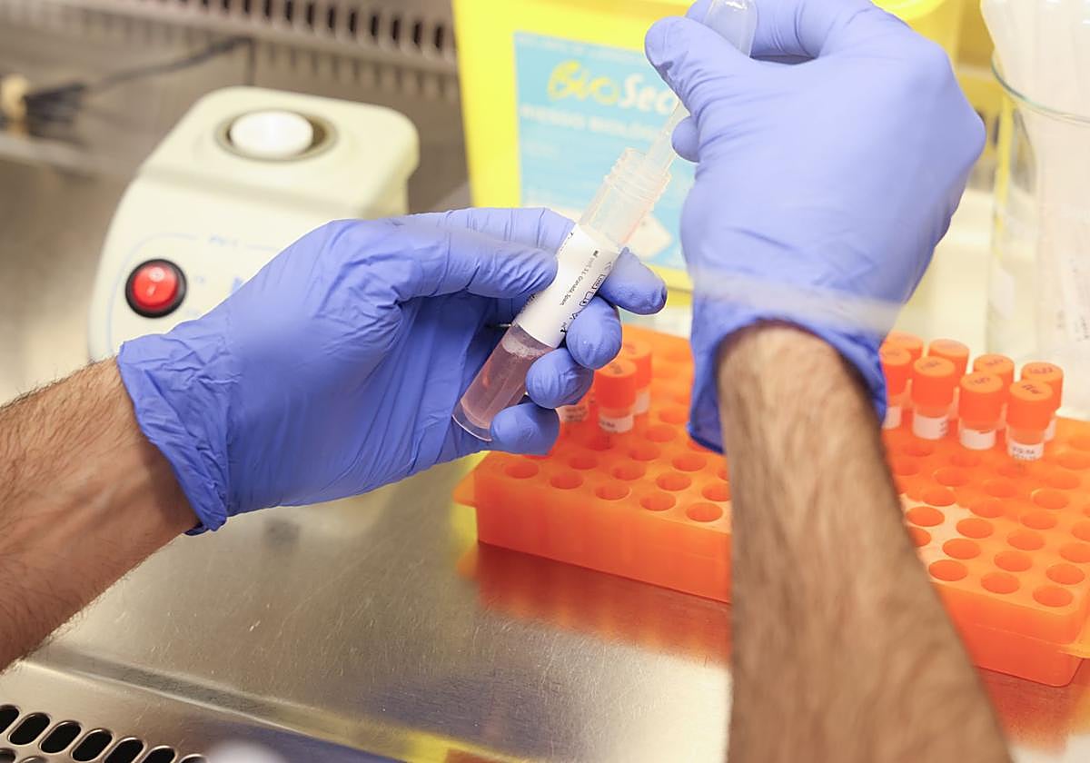 La gripe se adelanta y Europa advierte de una nueva variante que acelera su propagación