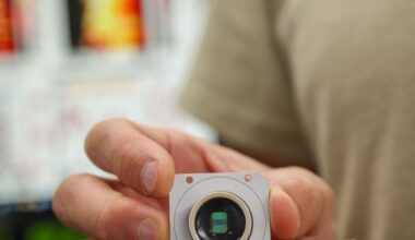 Descubren que el cerebro humano está 'programado' con instrucciones para comprender el mundo