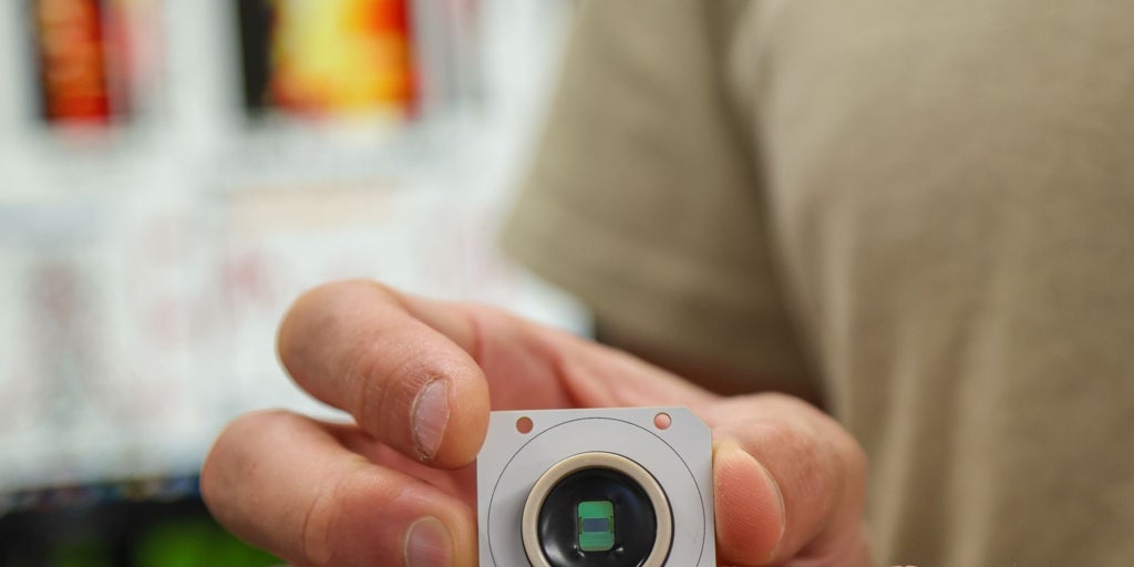 Descubren que el cerebro humano está 'programado' con instrucciones para comprender el mundo