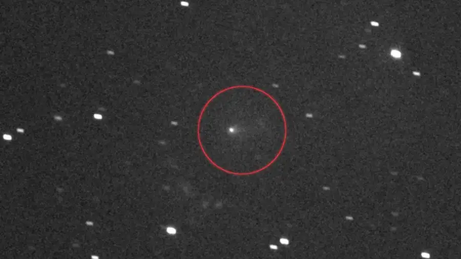 Cometa Atlas 31 24112025