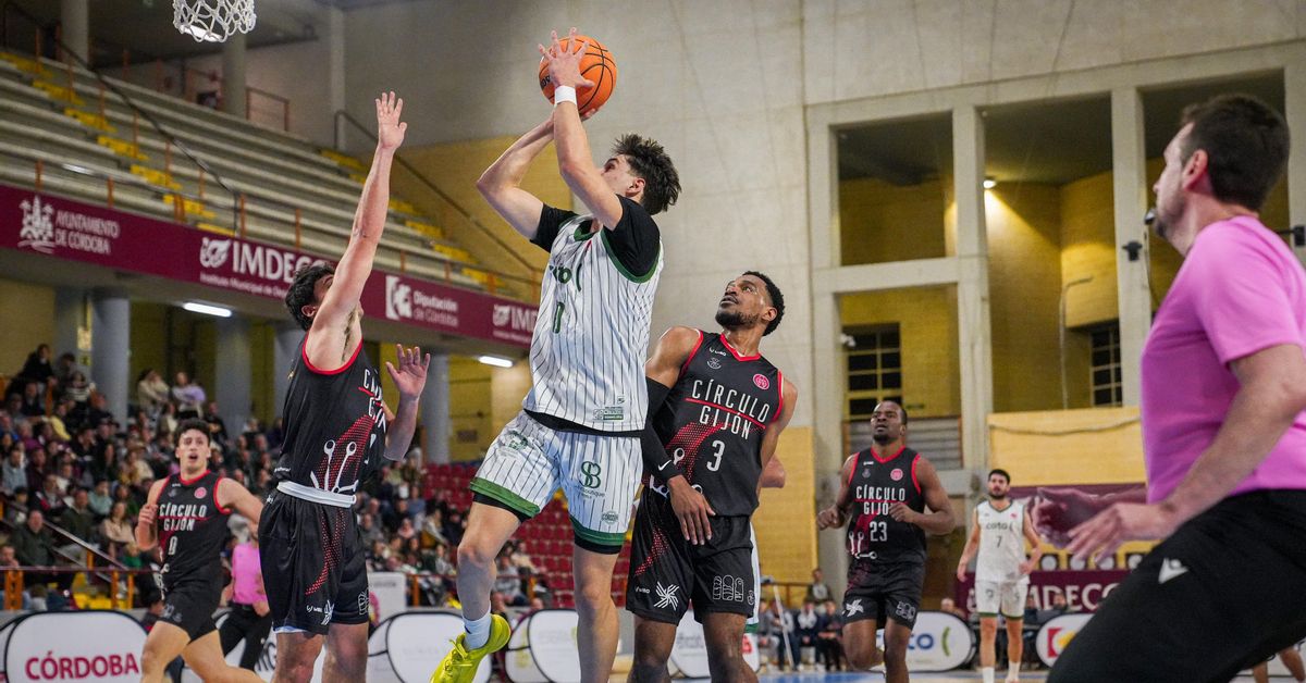 Coto Córdoba CB - Círculo Gijón Baloncesto: El Coto Córdoba CB supera al Gijón y sigue intratable