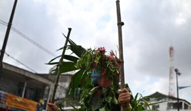 La COP30 deja a un lado la ruta contra la deforestación en un borrador debilitado por la presión petrolera