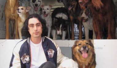 'Vacaciones para siempre', la "bomba" de Depresión sonora