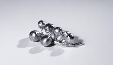 Julieta Hsiung_detalles de moonskin