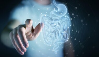 Un nuevo estudio vincula los microbios intestinales con enfermedades cardíacas comunes