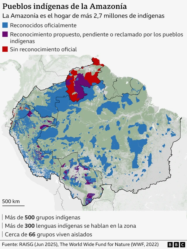 Gráfico que muestra la ubicación de los pueblos indígenas que viven la selva amazónica.