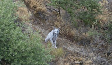 'Estaba temblando, me quedé en shock'