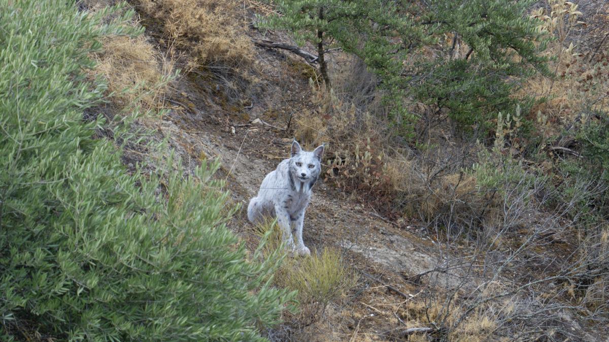 'Estaba temblando, me quedé en shock'