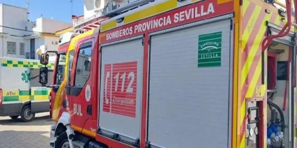 Muere una mujer de 39 años en el incendio de un campo en Lora del Río