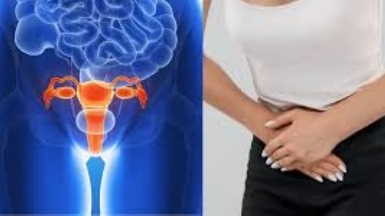 Científicos australianos descubren un nuevo factor clave en la propagación del cáncer de ovario