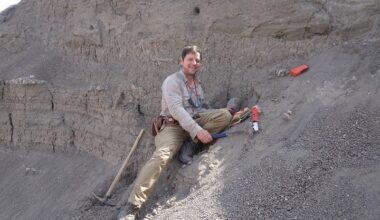 El Australopithecus deyiremeda, un ancestro de la especie humana descubierto en Etiopía, era bípedo y también trepaba entre los árboles - Actualidad