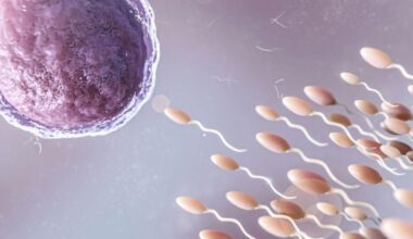 La IA, clave para un caso de infertilidad masculina