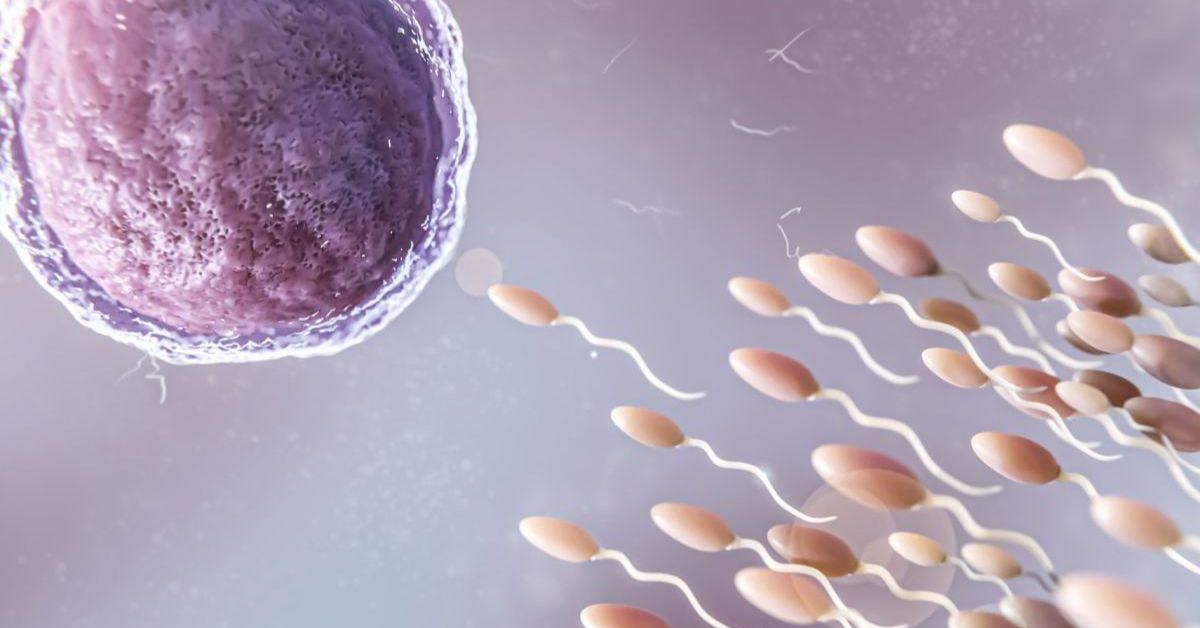 La IA, clave para un caso de infertilidad masculina