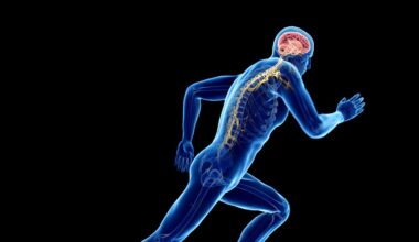 Cuando hacemos ejercicio, nuestros músculos ‘hablan’ con el cerebro y lo fortalecen