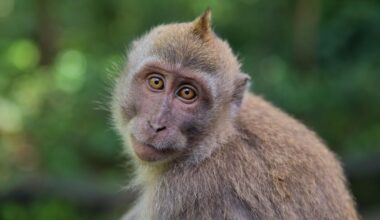 Un nuevo experimento revela que rejuvenecer es posible