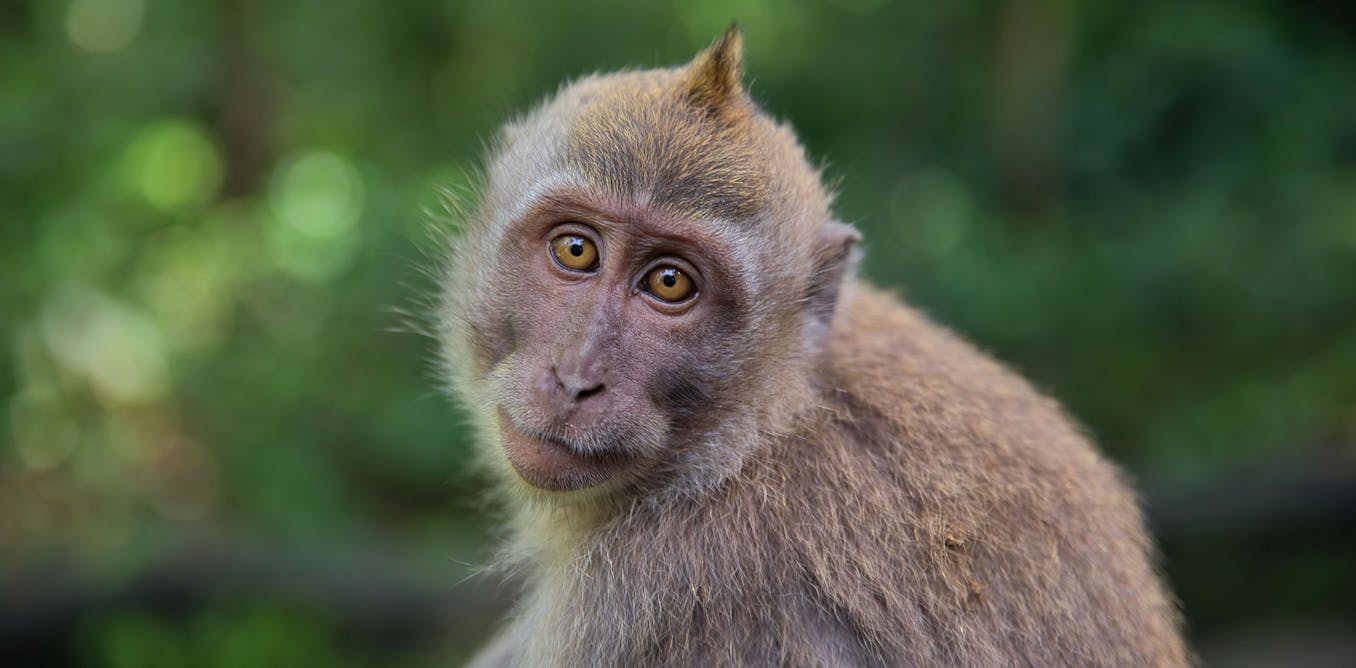Un nuevo experimento revela que rejuvenecer es posible