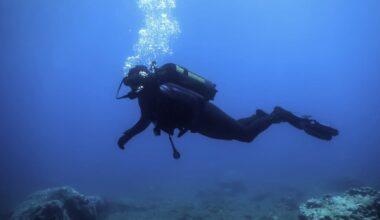 el misterio de la narcosis por nitrógeno