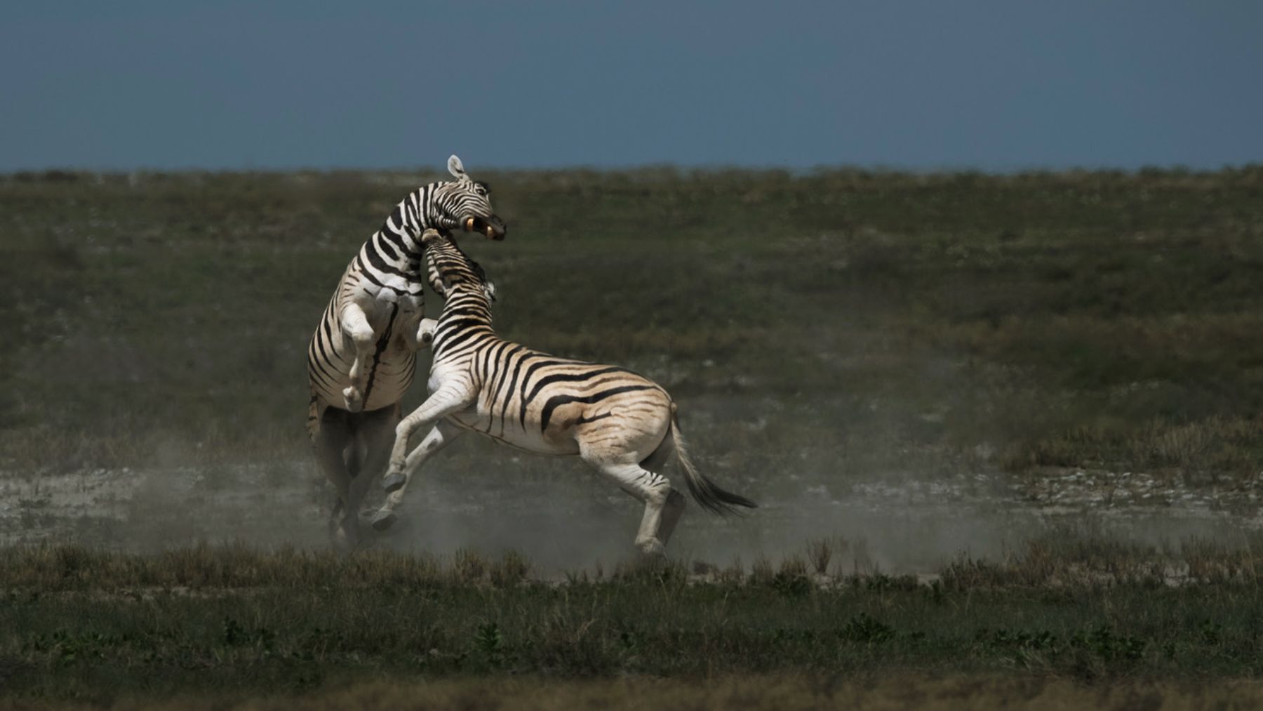 Foto: Giacomo de Franchis.