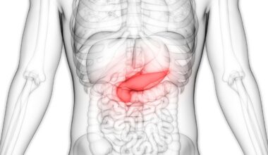 Oncólogos alertan del aumento de la incidencia de cáncer de páncreas en España con 10.338 casos nuevos en 2025