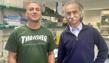 Un estudio describe un mecanismo molecular "clave" en la comunicación celular