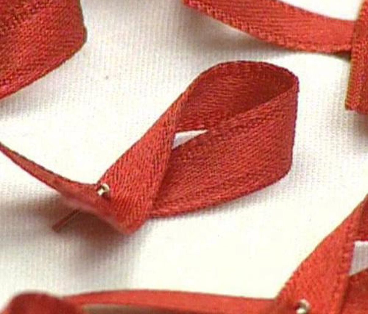 La concha del Espolón acoge este lunes la conmemoración del Día Mundial de Lucha contra el Sida