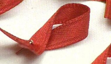 La concha del Espolón acoge este lunes la conmemoración del Día Mundial de Lucha contra el Sida