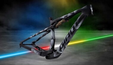 Solo habrá 100, llega la Giant Anthem Advanced SL World Champion - ESMTB.com