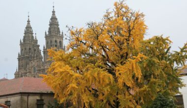 ¿Cuándo se puede hacer la fotografía otoñal más buscada en Santiago? Aprovecha hoy y el miércoles
