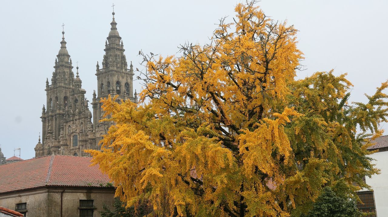 ¿Cuándo se puede hacer la fotografía otoñal más buscada en Santiago? Aprovecha hoy y el miércoles