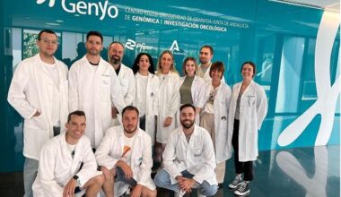 Equipo de investigación que ha realizado el trabajo.