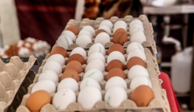 El futuro de los huevos por la crisis de la gripe aviar: bajada de oferta y precios tensionados