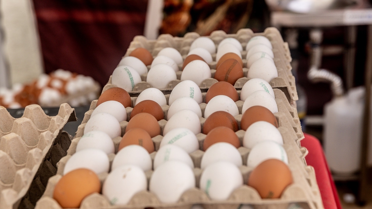 El futuro de los huevos por la crisis de la gripe aviar: bajada de oferta y precios tensionados
