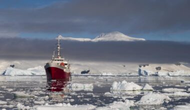 Intriga máxima de los biólogos tras descubrir miles de nidos por casualidad bajo el hielo de la Antártida
