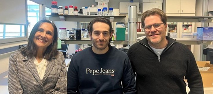 La suplementación con un agente simbiótico mejora la función hepática y vascular en un modelo experimental de colestasis