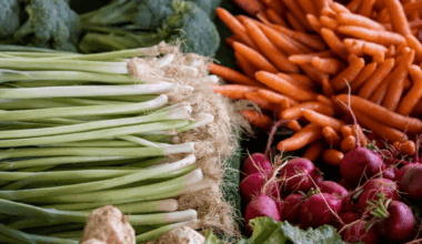 La dieta mediterránea no garantiza los niveles necesarios de folato en la población