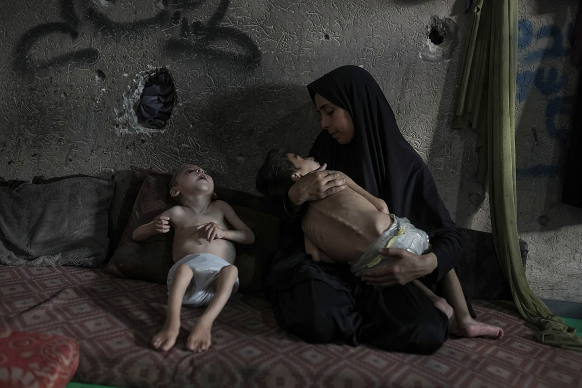 © Jehad Al-Sharafi 2