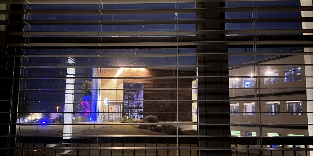 Explican cómo la luz nocturna favorece las enfermedades del corazón