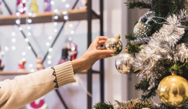 BASES DEL CONCURSO DE ESCAPARATES DE NAVIDAD 2025 - Ayuntamiento de Maracena