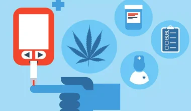 Cannabinoides del cáñamo muestran potencial contra la diabetes tipo 2