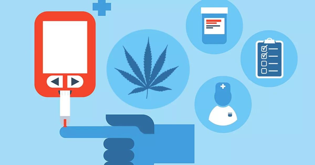 Cannabinoides del cáñamo muestran potencial contra la diabetes tipo 2