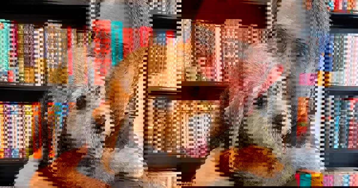 “Cuidando de mi perra y de mi madre, que está mayor, por eso dejé Madrid, y a la espera de la próxima novela. Tranquilo, feliz”