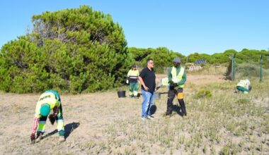 Transformación de la Playa del Remolar: Mejora Ecológica y Conservación Ambiental