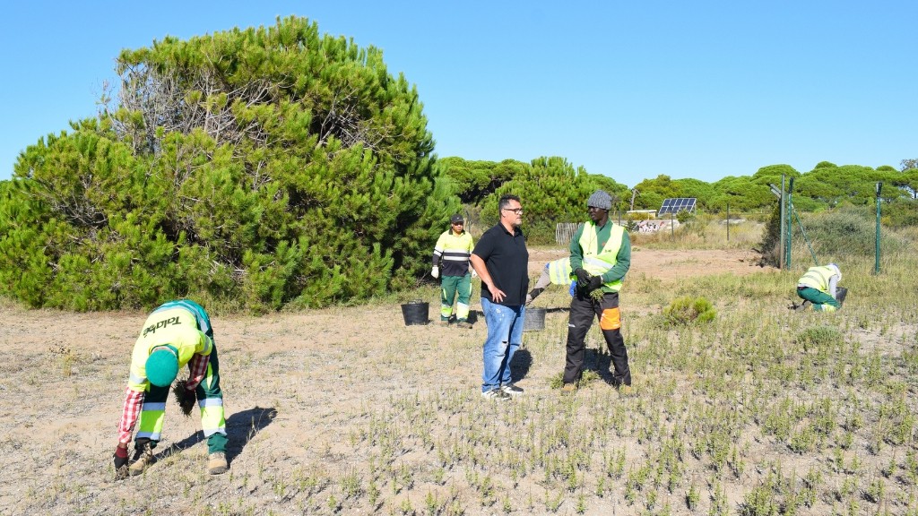 Transformación de la Playa del Remolar: Mejora Ecológica y Conservación Ambiental