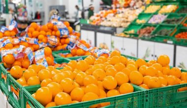 Mercadona revela el origen de las naranjas que venderá este año en sus supermercados