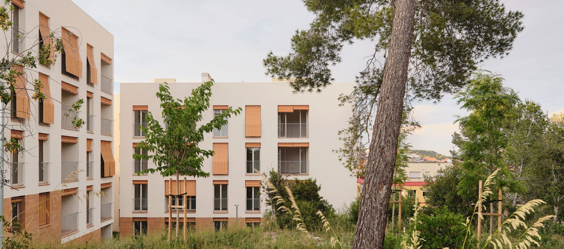 Estrategias pasivas y calidad espacial. 72 Viviendas Sociales por Carles Enrich Studio