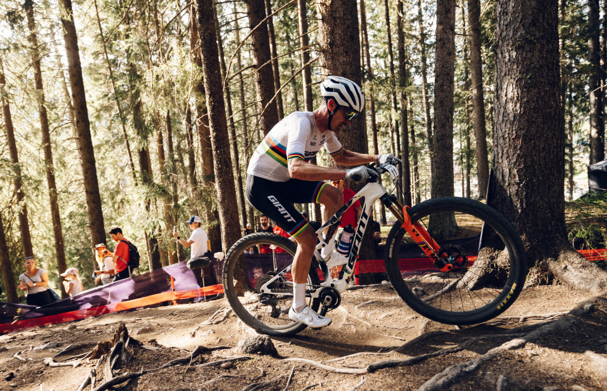 así es la nueva Giant Anthem Advanced SL 2026