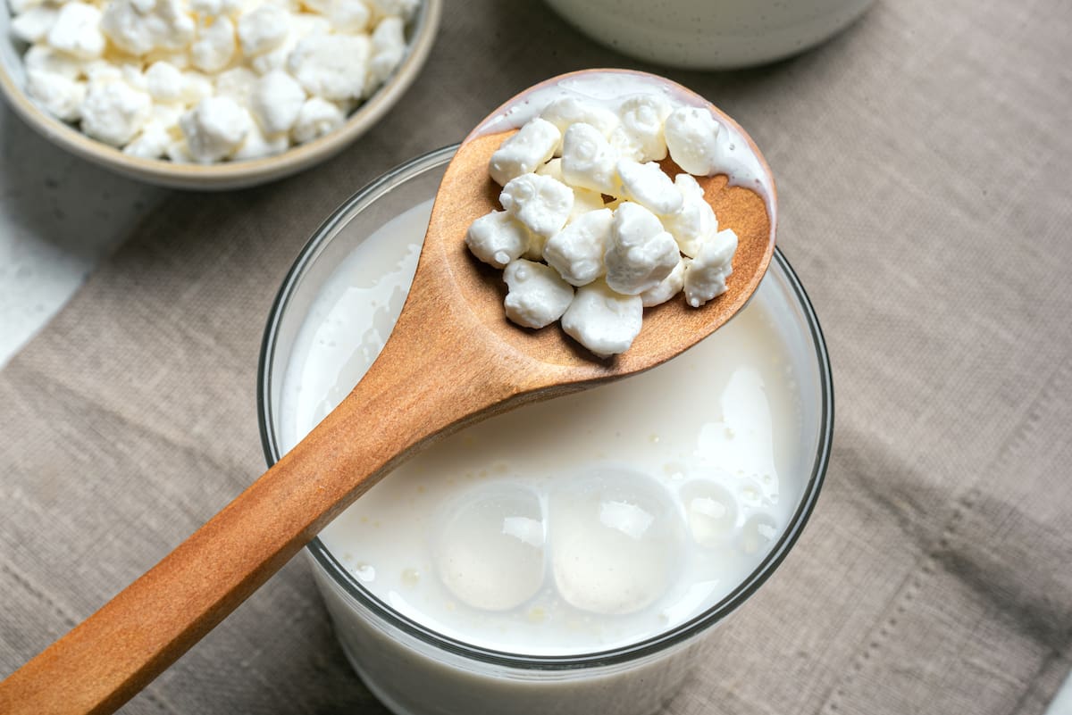 El “oro blanco” que equilibra la microbiota y mejora la salud digestiva