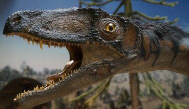 Un nuevo dinosaurio sale a la luz en Carolina del Norte