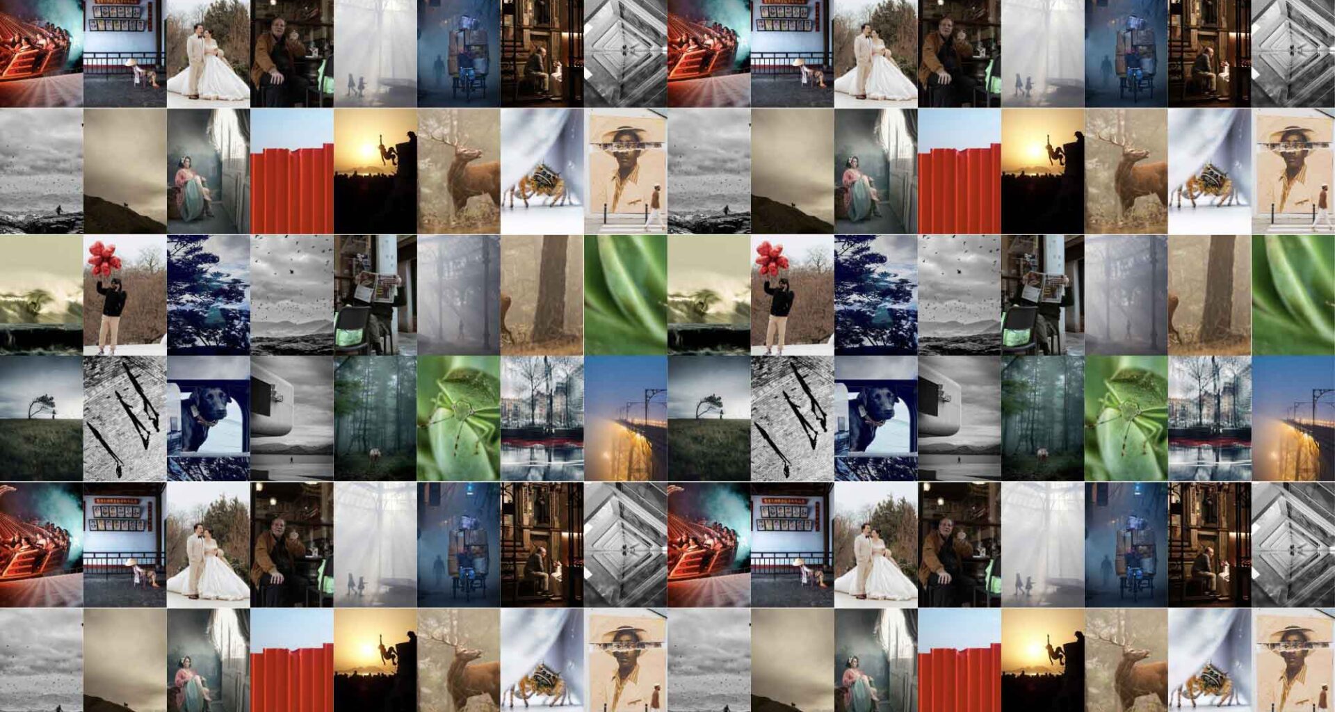 Concurso #PhotolariS9: estas son las fotos finalistas