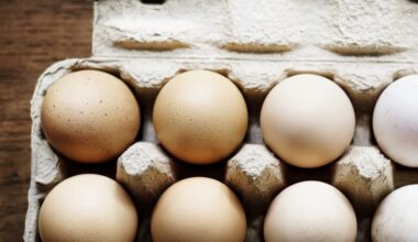 descubren algo en el virus de la gripe aviar que preocupa mucho a los científicos